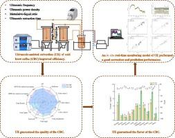 Dual-frequency countercurrent ultrasonic-assisted extraction of the cold brew coffee and in situ real-time monitoring of extraction process