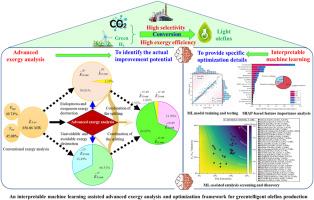 Interpretable machine learning-assisted advanced exergy optimization for carbon-neutral olefins production