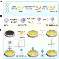 A sensitive electrochemiluminescence immunosensor for CEA detection based on the ECL-RET between zinc-based metal–organic frameworks and ZiF-8@PDA