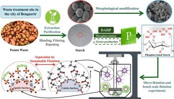 Efficient flotation separation approach of apatite from calcite for phosphate up-grading using phosphorylated starch macromolecules as a selective depressant