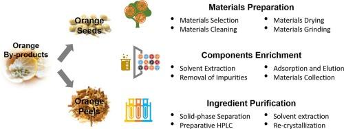 Green-chemistry of by-products from Sai-Nam-Phueng orange in Thailand (1): Recovering a valuable source of bioactive compounds using response surface methodology, antioxidant, and cytotoxicity