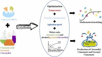 Mathematical modeling of enzymatic esterification process between essential oil from Cymbopogon winterianus and cinnamic acid