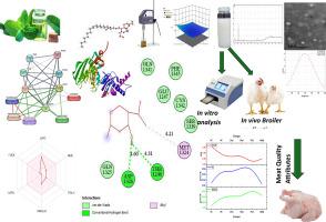 Characterization and antibacterial application of peppermint essential oil nanoemulsions in broiler