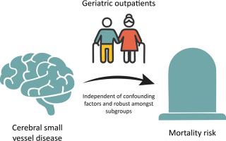 Cerebral small vessel disease and its relationship with all-cause mortality risk: Results from the Amsterdam Ageing cohort