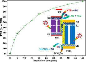 Green fabrication of aniline over mesoporous NiS/YVO4 S-type heterostructure photocatalyst under visible light exposure