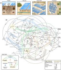 Impacts of photovoltaic solar energy on soil carbon: A global systematic review and framework