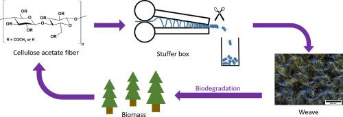 Production and separation of knitted lyocell-cellulose acetate fabrics from crimped cellulose acetate fibers