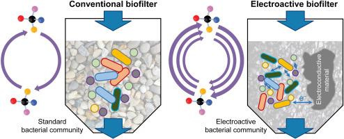 Enhanced removal of chiral emerging contaminants by an electroactive biofilter