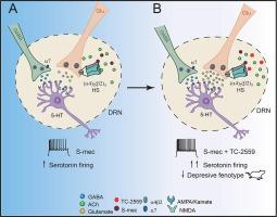 S-(+)-mecamylamine increases the firing rate of serotonin neurons and diminishes depressive-like behaviors in an animal model of stress