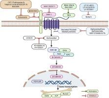 Therapeutic targeting of Wnt antagonists by small molecules for treatment of osteoporosis