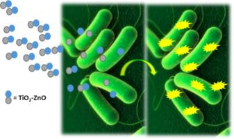 Green synthesis of TiO2/ZnO heterostructure using Urtica Smensis leaf extract for antibacterial activity