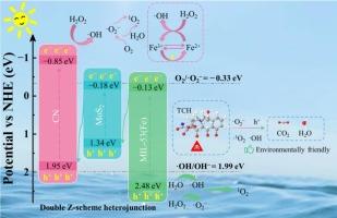 Synergistic removal of tetracycline hydrochloride by g-C3N4/MoS2/MIL-53(Fe) photocatalysts with Fenton reaction: Photothermal effect and mechanistic analysis