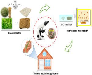 Durability assessment of alkyl ketene dimer hydrophobic treatment of bio-based thermal insulation materials