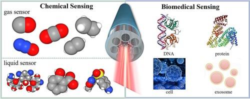 Hollow-core anti-resonant optical fibers for chemical and biomedical sensing