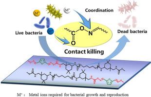 Synthesis and evaluation of bio-based Poly(oxime-urethane) with intrinsic antimicrobial properties