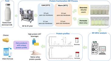 Effect of pore size and temperature on the behaviour of alpha-lactalbumin and the A and B genetic variants of beta-lactoglobulin during protein fractionation microfiltration