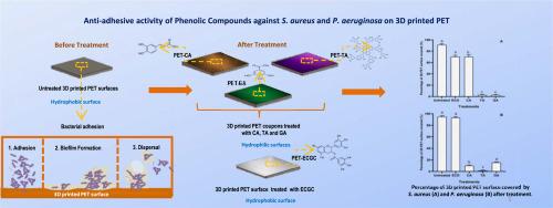 Enhancing 3D printed PET physicochemical properties to prevent bacterial adhesion: Phenolic compound-based approach