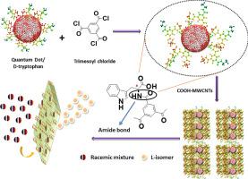 Functionalized carbon nanotube-quantum dot thin film nanocomposite membrane for separation of β-substituted-α-amino acid enantiomers