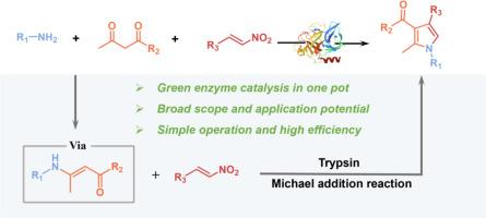 Development of an efficient biocatalytic three-component reaction for synthesizing pyrrole derivatives