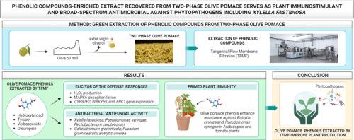 Phenolic compounds-enriched extract recovered from two-phase olive pomace serves as plant immunostimulants and broad-spectrum antimicrobials against phytopathogens including Xylella fastidiosa