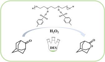 Efficient catalysis for the Baeyer-Villiger oxidation reaction of 2-adamantone in acidic deep eutectic solvents