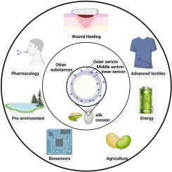 Sericin coats of silk fibres, a degumming waste or future material?