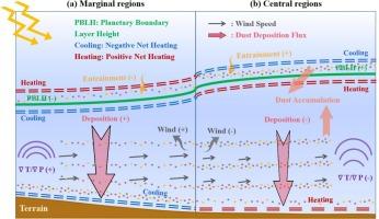 Legacy of aerosol radiative effect predominates daytime dust loading evolution