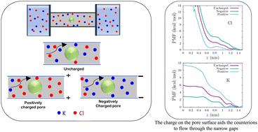 Ionic flow through partially blocked nanopores†