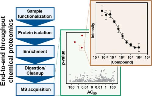 End-to-End Throughput Chemical Proteomics for Photoaffinity Labeling Target Engagement and Deconvolution