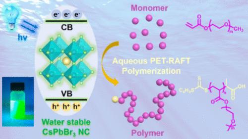 Water-Stable Perovskite Nanocrystals to Overcome the Photocatalysis–Stability Trade-Off in Aqueous Photo-RAFT Polymerization