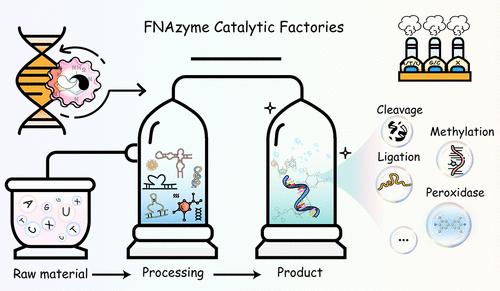 Functional Nucleic Acid Enzymes: Nucleic Acid-Based Catalytic Factories