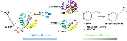 Cu-Albumin Artificial Enzymes with Peroxidase and Oxidase Activity for Stereoselective Oxidations