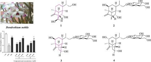 Isosativene and sativene sesquiterpene derivatives from Dendrobium nobile