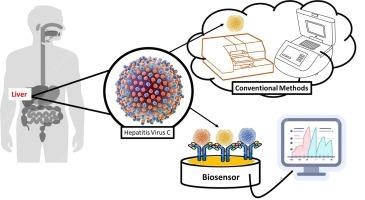 Nanodiagnostics in global eradication of hepatitis C virus