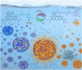 Potential of a CO2-Responsive supramolecular drug-carrier system as a safer and more effective treatment for cancer