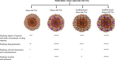 Multicellular tumor spheroids: A convenient in vitro model for translational cancer research