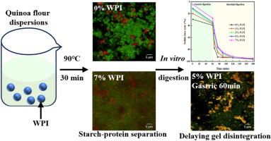 Effect of whey protein on the formation, structure and gastrointestinal breakdown of quinoa flour-based composite gels