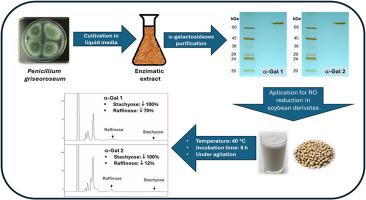 Purification and characterization of α-galactosidases from Penicillium griseoroseum for efficient soymilk hydrolysis