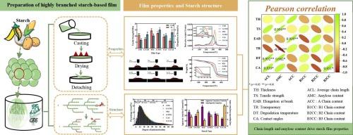 Correlation analysis of starch molecular structure and film properties via rearrangements of glycosidic linkages by 1,4-α-glucan branching enzyme