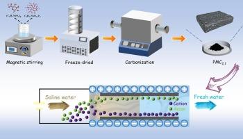 Green self-templated synthesis of P-doped mesoporous carbon from dual sodium salts with improved average pore size for capacitive deionization