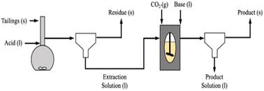 Tuning acid extraction of magnesium and calcium from platinum group metal tailings for CO2 conversion and storage†