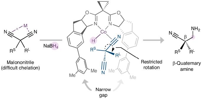 Cobalt-catalysed desymmetrization of malononitriles via enantioselective borohydride reduction