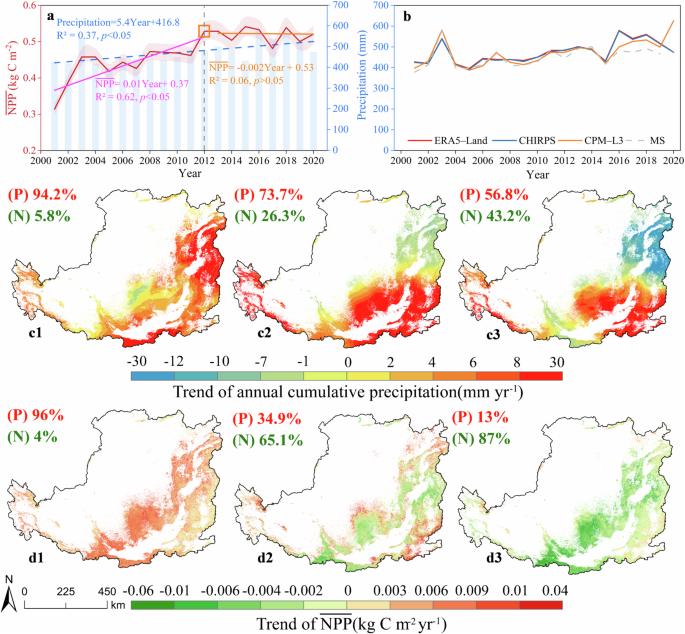 Increased precipitation has not enhanced the carbon sequestration of afforestation in Northwest China