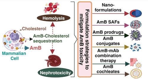 Formulation Strategies to Overcome Amphotericin B Induced Toxicity