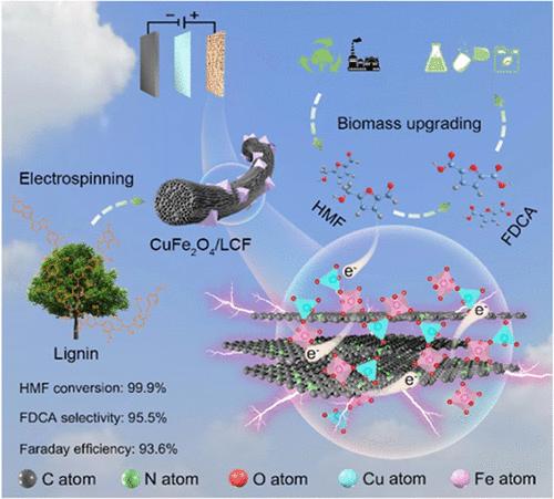 High-Conductivity Lignin-Derived Carbon Fiber-Embedded CuFe2O4 Catalysts for Electrooxidation of HMF into FDCA