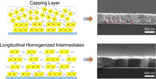 Longitudinal Homogenized Intermediates Facilitate Air-Processed Hybrid Sequential Deposition of Perovskite/Silicon Tandem Solar Cells