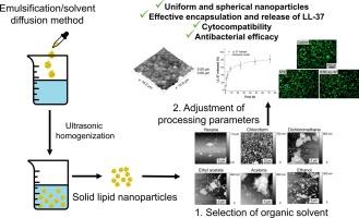 Stearic acid-based nanoparticles loaded with antibacterial peptides – Bacitracin and LL-37: Selection of manufacturing parameters, cytocompatibility, and antibacterial efficacy