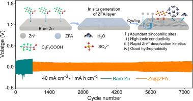 Design principles of novel Zn fluorocarboxylate protection layer toward durable dendrite-free Zn metal anodes