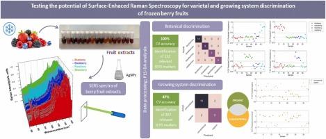 Testing the potential of Surface-Enhanced Raman Spectroscopy for varietal and growing system discrimination of frozen berry fruits