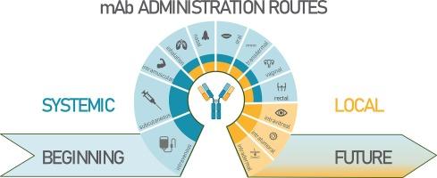 Novel strategies in systemic and local administration of therapeutic monoclonal antibodies